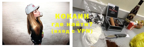 соль ск Нея