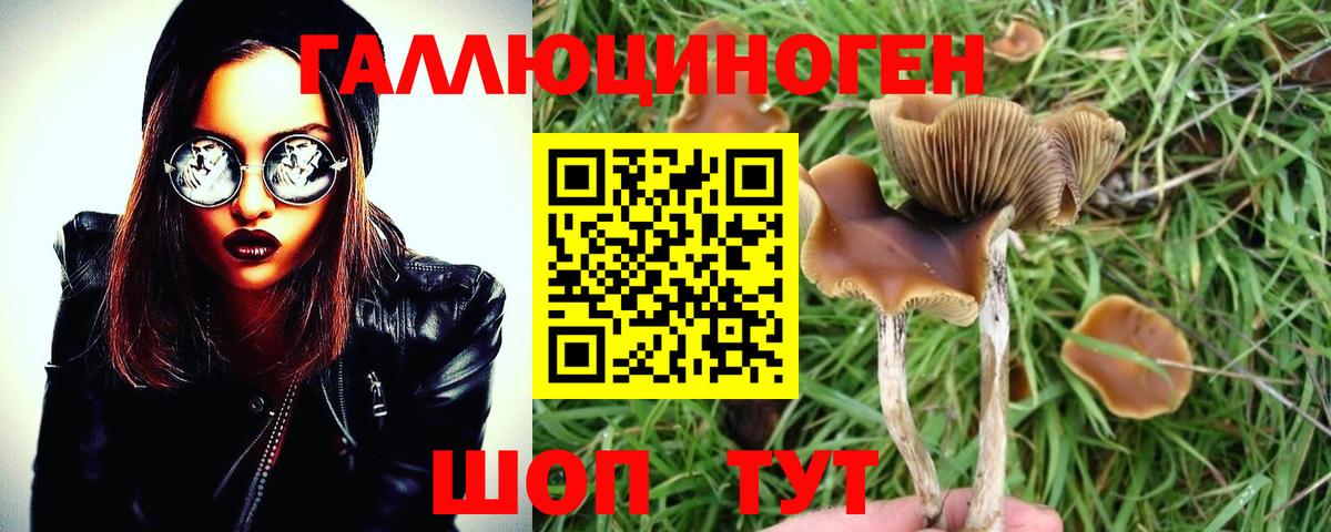 Морозовск  Псилоцибиновые грибы Magic Shrooms  Вход с VPN 